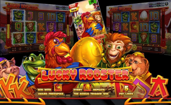 Lucky Rooster-1