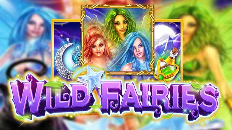 Wild Fairies-1